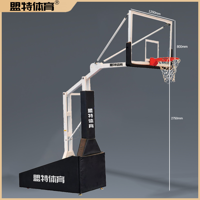 可调节篮球架推荐-Z6.COM-尊龙集团官网源头工厂